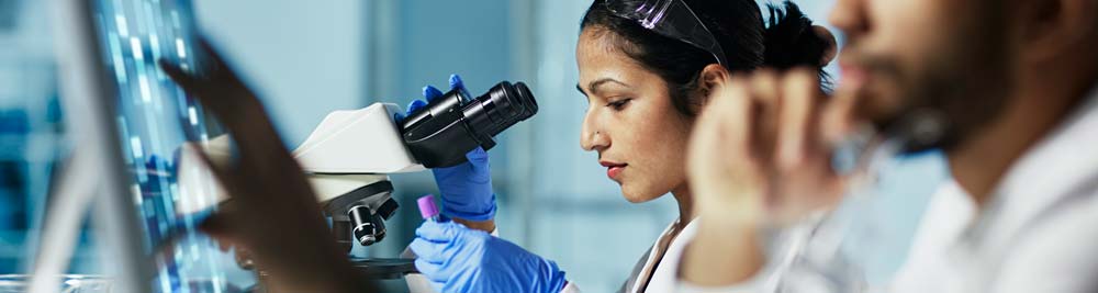 Two scientists looking at samples under microscopes in a lab