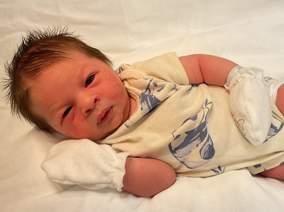 Everest Henry William