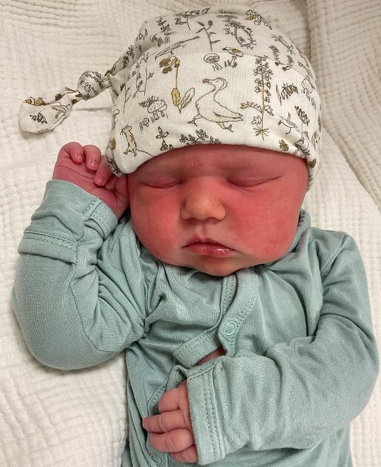Harriet Louise