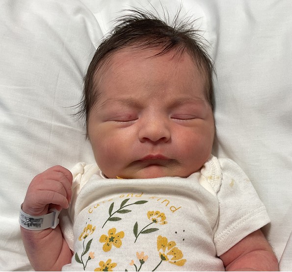 Lily Ann
