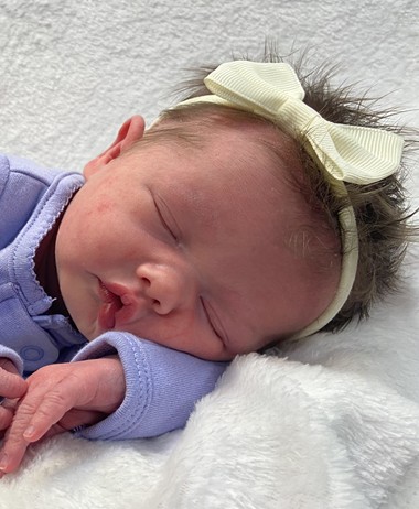 Waverlee Lillie