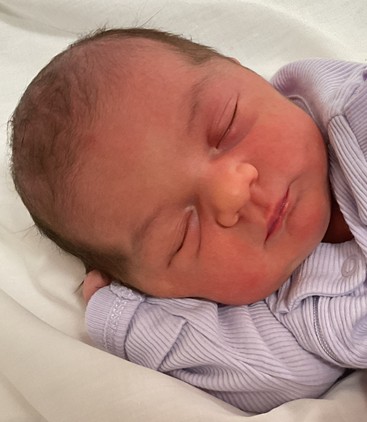 Hallie Bree Ann
